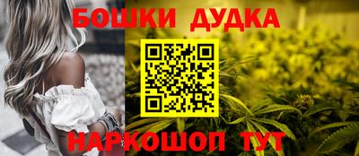 хмурый Бийск