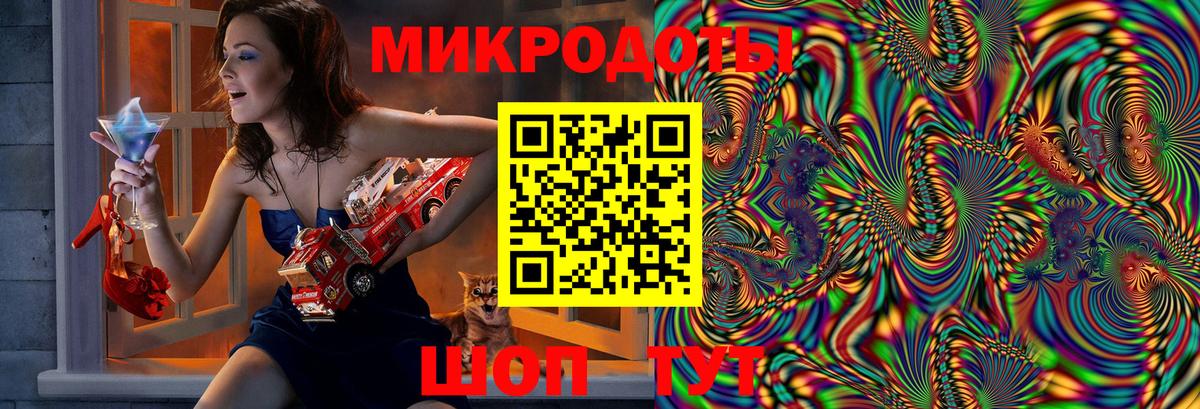 Карпинск  Псилоцибиновые грибы Psilocybine cubensis  Вход с VPN 